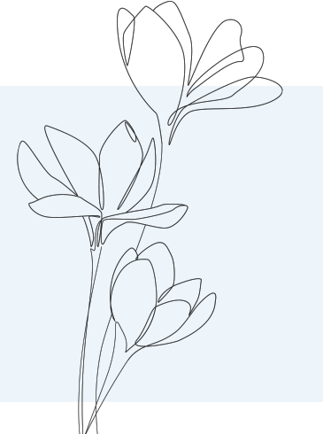 Flowers vector